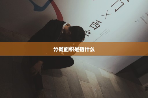 分摊面积是指什么