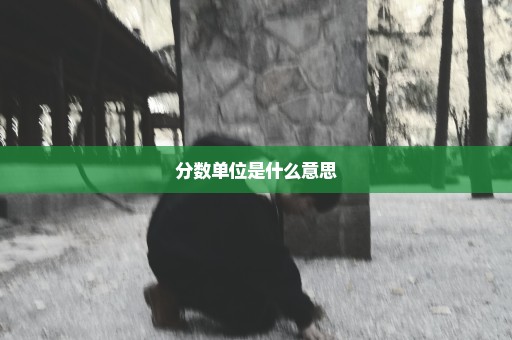 分数单位是什么意思