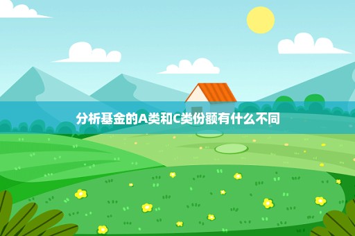 分析基金的A类和C类份额有什么不同