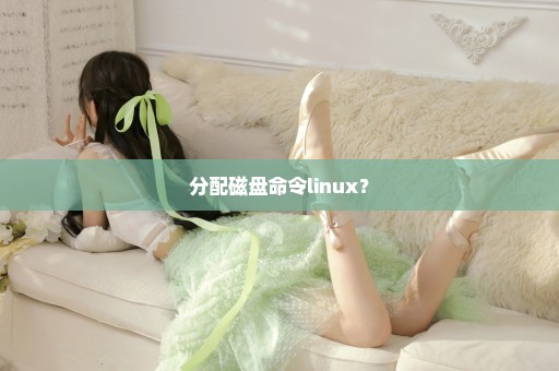 分配磁盘命令linux？