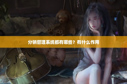 分销管理系统都有哪些？有什么作用