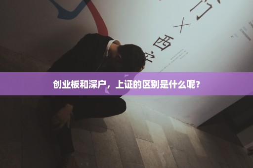 创业板和深户，上证的区别是什么呢？