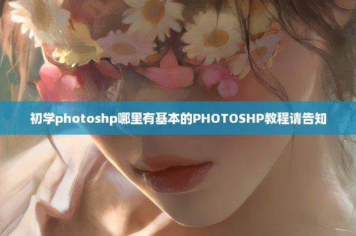 初学photoshp哪里有基本的PHOTOSHP教程请告知