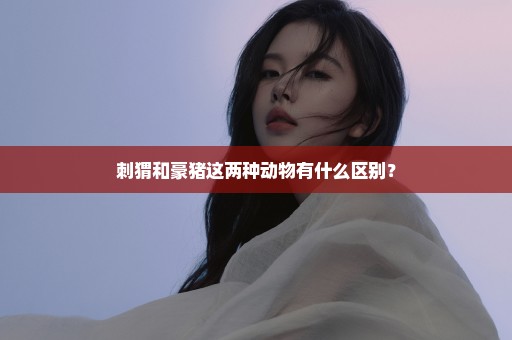 刺猬和豪猪这两种动物有什么区别？