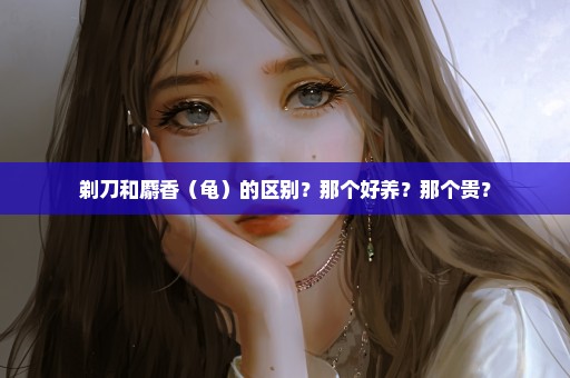 剃刀和麝香（龟）的区别？那个好养？那个贵？