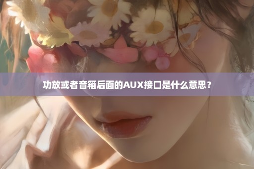 功放或者音箱后面的AUX接口是什么意思？