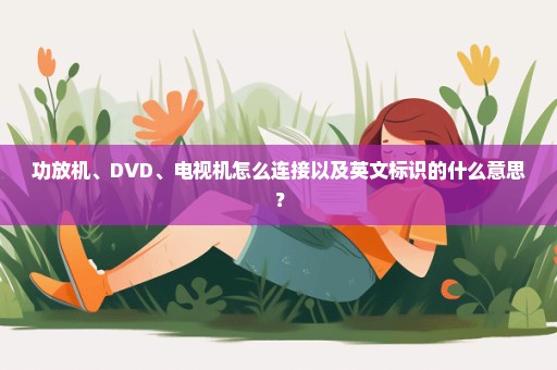 功放机、DVD、电视机怎么连接以及英文标识的什么意思？