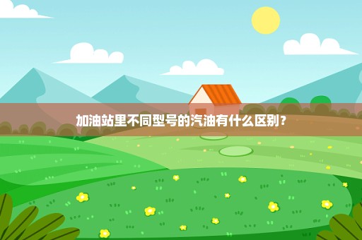 加油站里不同型号的汽油有什么区别？