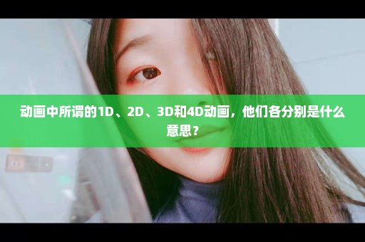 动画中所谓的1D、2D、3D和4D动画，他们各分别是什么意思？