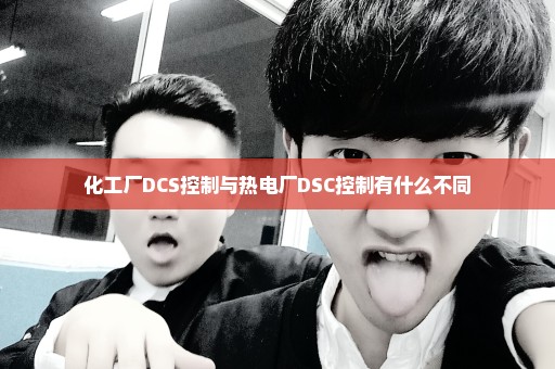 化工厂DCS控制与热电厂DSC控制有什么不同