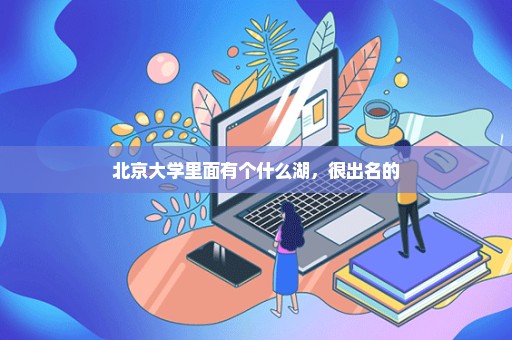 北京大学里面有个什么湖，很出名的