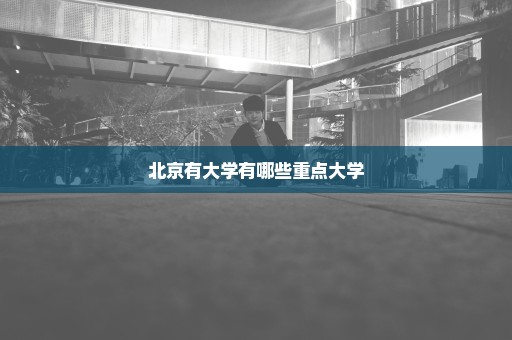 北京有大学有哪些重点大学