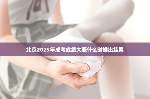 北京2025年成考成绩大概什么时候出结果