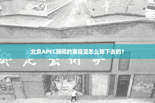 北京APEC期间的雾霾是怎么降下去的？