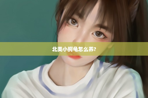 北美小鳄龟怎么养?