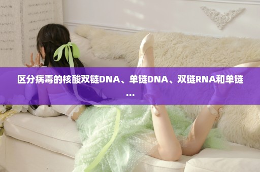 区分病毒的核酸双链DNA、单链DNA、双链RNA和单链...