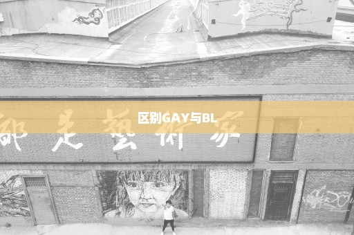 区别GAY与BL