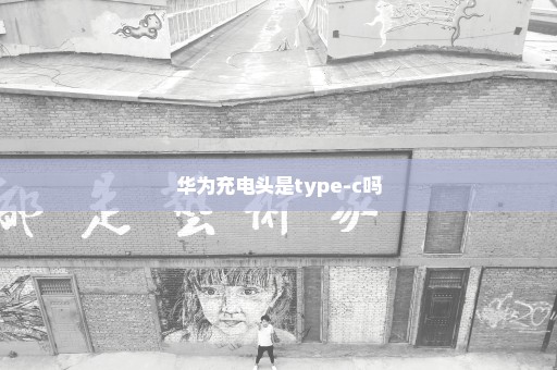 华为充电头是type-c吗