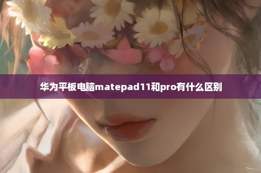 华为平板电脑matepad11和pro有什么区别