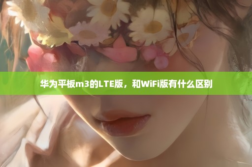 华为平板m3的LTE版，和WiFi版有什么区别