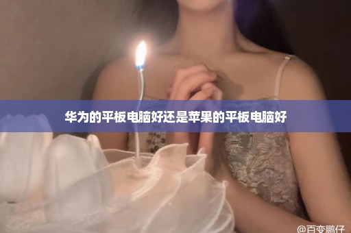 华为的平板电脑好还是苹果的平板电脑好