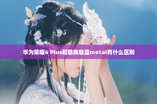 华为荣耀6 Plus和魅族魅蓝metal有什么区别