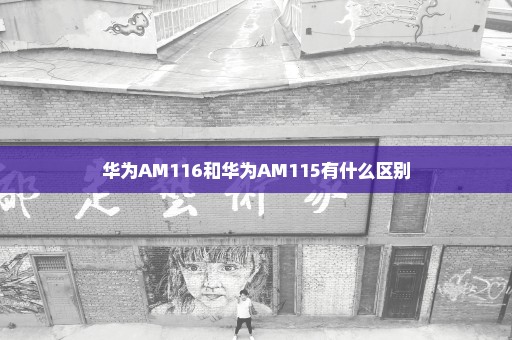 华为AM116和华为AM115有什么区别