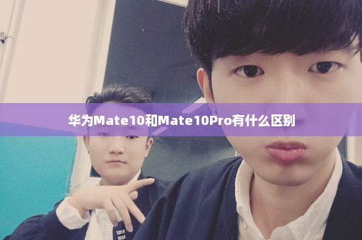 华为Mate10和Mate10Pro有什么区别