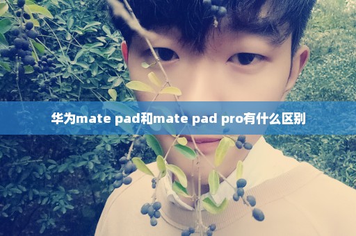 华为mate pad和mate pad pro有什么区别