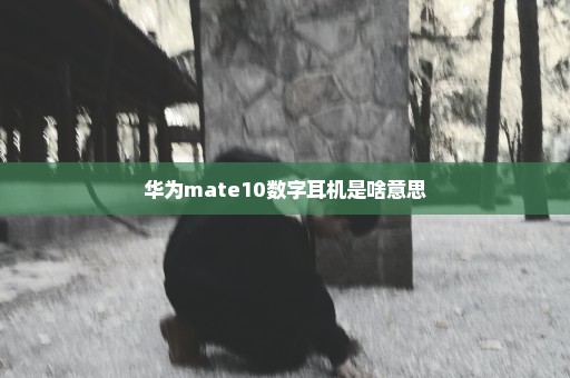 华为mate10数字耳机是啥意思