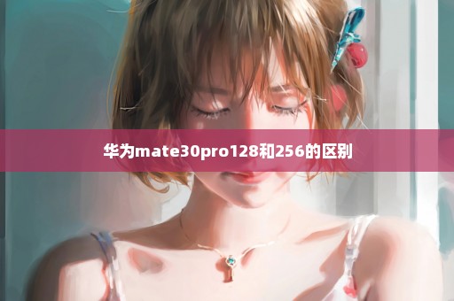 华为mate30pro128和256的区别