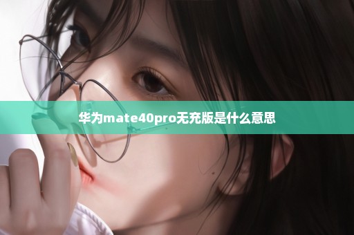 华为mate40pro无充版是什么意思