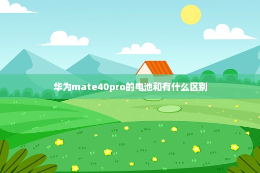 华为mate40pro的电池和有什么区别