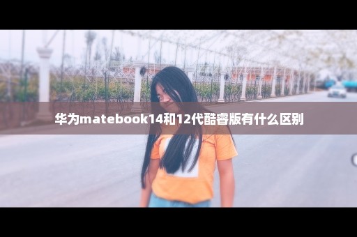 华为matebook14和12代酷睿版有什么区别