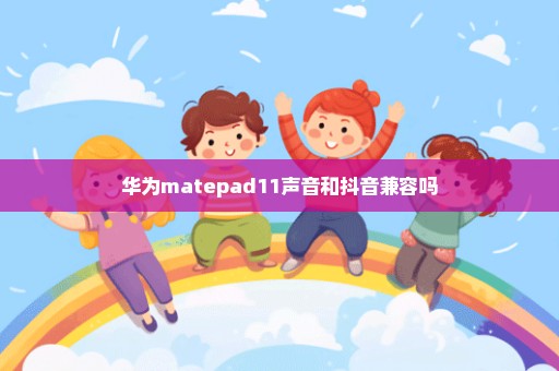 华为matepad11声音和抖音兼容吗