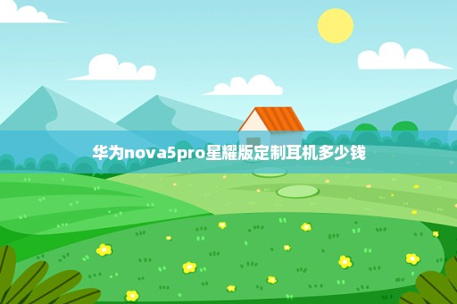 华为nova5pro星耀版定制耳机多少钱