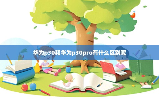 华为p30和华为p30pro有什么区别呢