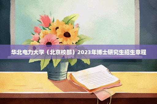 华北电力大学（北京校部）2023年博士研究生招生章程