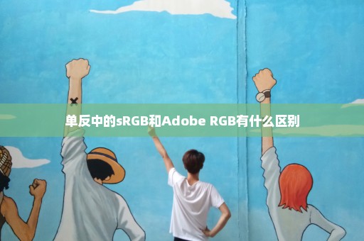 单反中的sRGB和Adobe RGB有什么区别