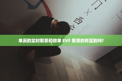 单反的实时取景和微单 EVF 取景的有区别吗?