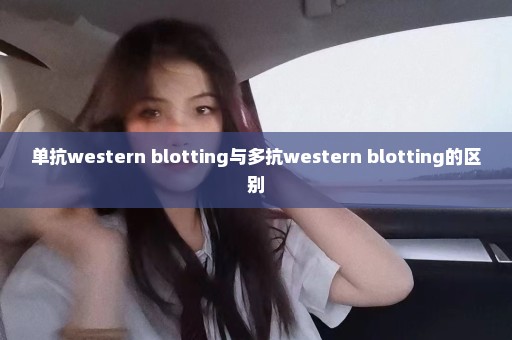 单抗western blotting与多抗western blotting的区别