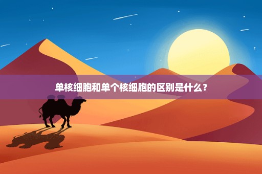 单核细胞和单个核细胞的区别是什么？