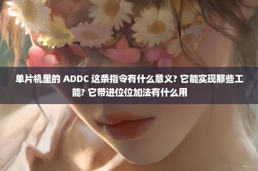 单片机里的 ADDC 这条指令有什么意义? 它能实现那些工能? 它带进位位加法有什么用