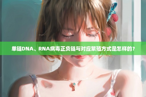 单链DNA、RNA病毒正负链与对应繁殖方式是怎样的？