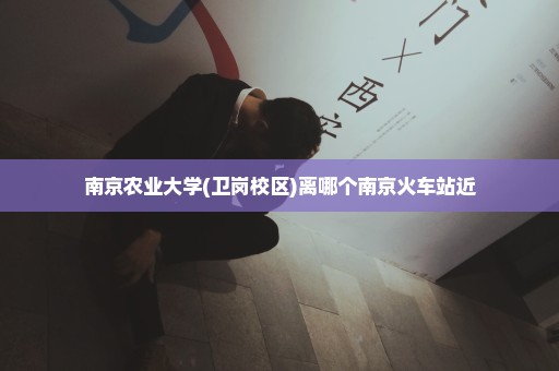 南京农业大学(卫岗校区)离哪个南京火车站近