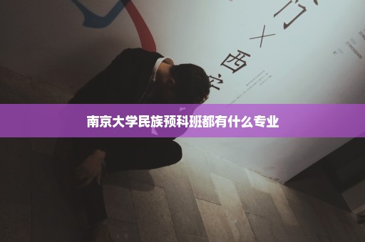 南京大学民族预科班都有什么专业