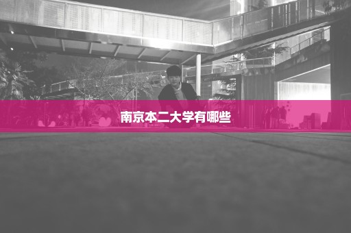 南京本二大学有哪些