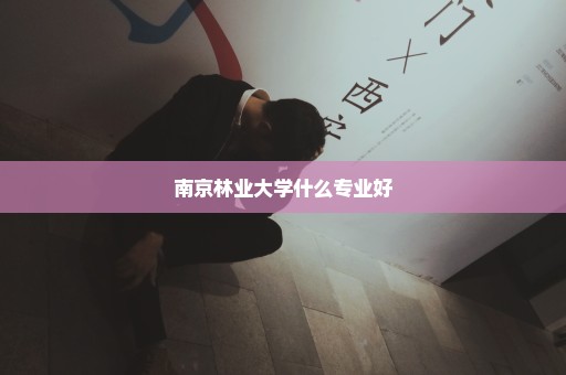 南京林业大学什么专业好