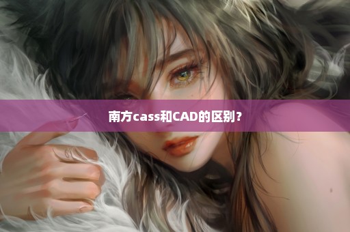 南方cass和CAD的区别？