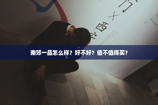 南郊一品怎么样？好不好？值不值得买？